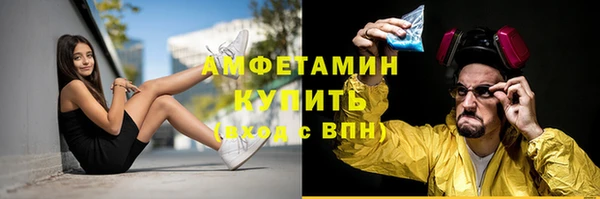 индика Армянск