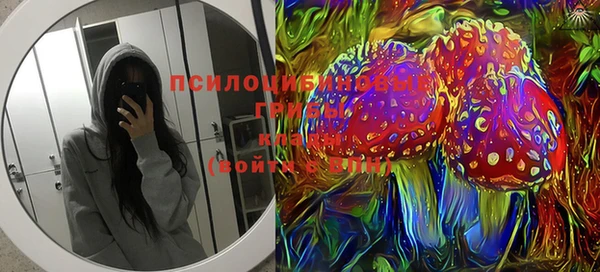 индика Армянск