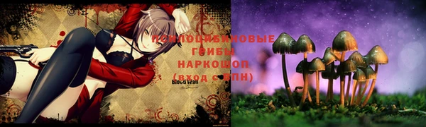 a pvp Аркадак