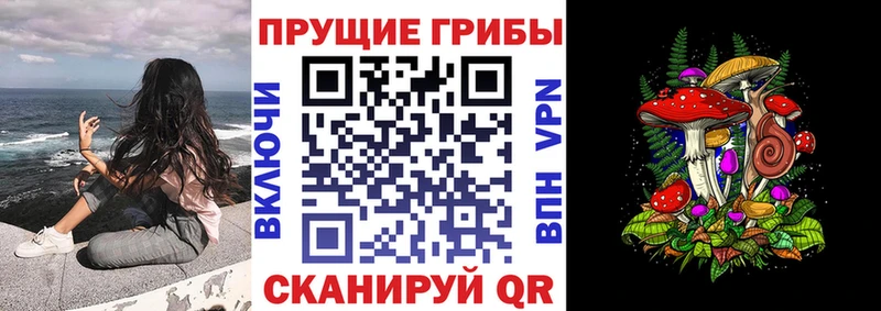 сколько стоит  Безенчук  Галлюциногенные грибы мухоморы 
